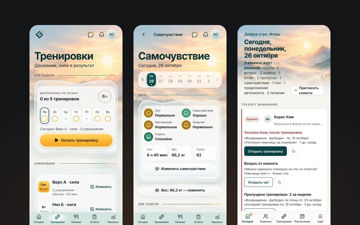Экраны CoachFlow: тренировки недели с ближайшими днями, самочувствие за день и экран «Сегодня» тренера на телефоне.